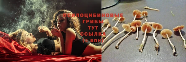 мескалин Болотное