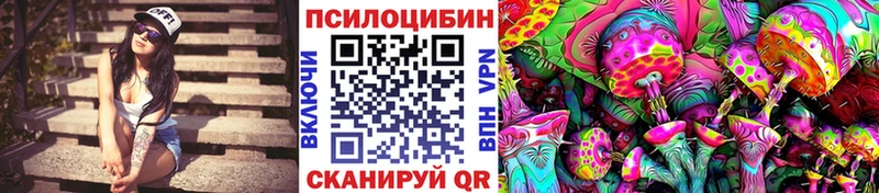 Псилоцибиновые грибы прущие грибы  Дудинка 